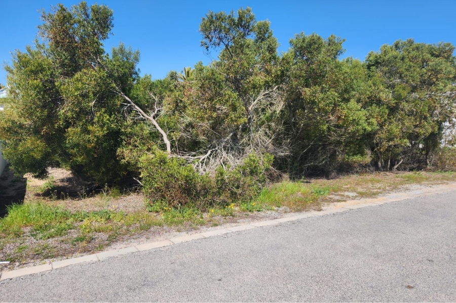 0 Bedroom Property for Sale in Shelley Point Western Cape